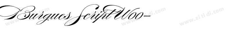 Burgues Script W00字体转换 Burgues Script W00字体转换